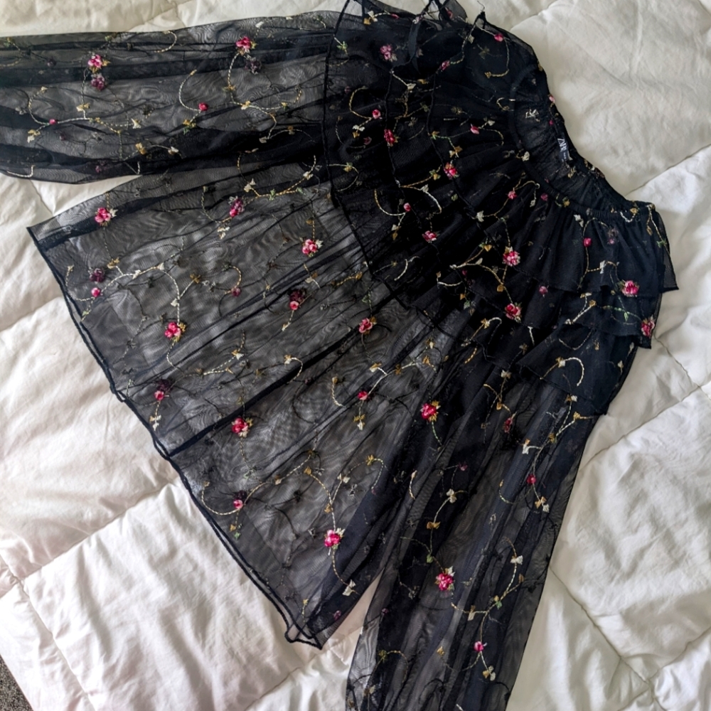 Zara sheer lace embroidered top